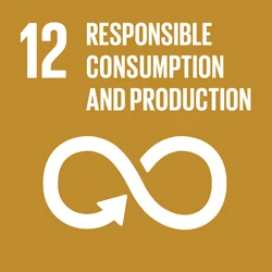 UN Sustainable Development Goal 12: Responsible consumption and production