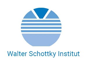 WSI